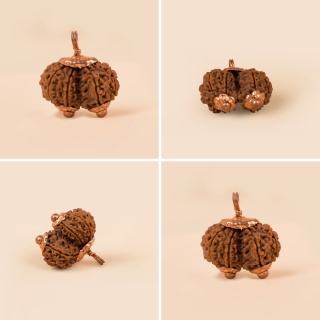 Gaurishankar Królowa Rudrakshy Konsekrowana Isha Gauri-Shankar Gowrishanker