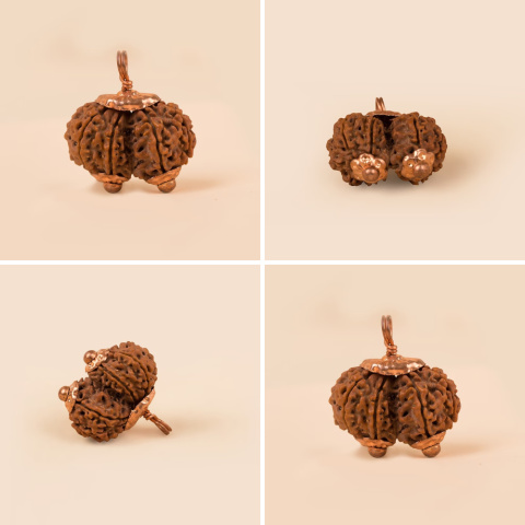 Gaurishankar Królowa Rudrakshy Konsekrowana Isha Gauri-Shankar Gowrishanker