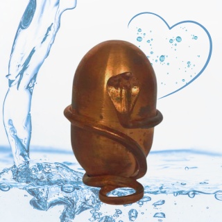 Jeevarasam Konsekrowana Woda ISHA