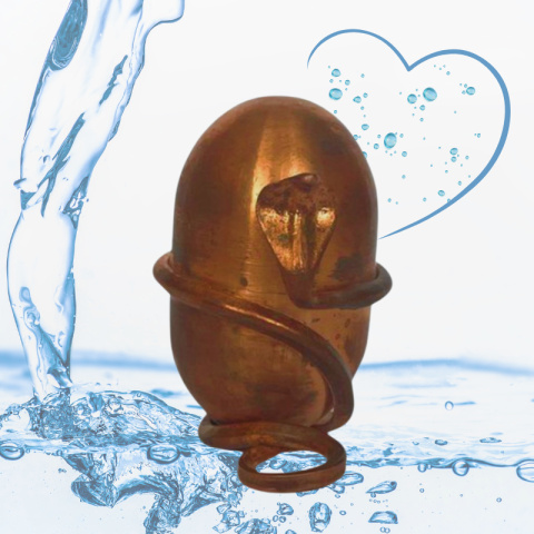 Jeevarasam Konsekrowana Woda ISHA