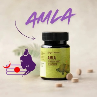 Amla Tabletki 60 szt. ISHA