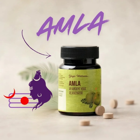 Amla Tabletki 60 szt. ISHA