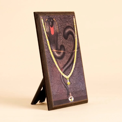 Naga Photo 16,5x11,5 - zdjęcie z podpórką ISHA