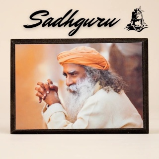 Zdjęcie Sadhguru z podpórką 💗
