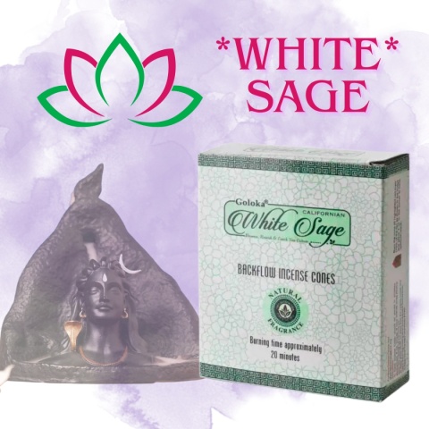 KADZIDEŁKA STOŻKOWE BACKFLOW WHITE SAGE GOLOKA 10 szt. BIAŁA SZAŁWIA