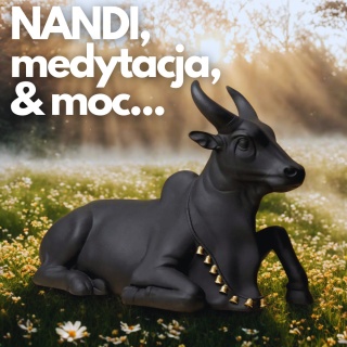 NANDI Dostojna Medytacja - ISHA