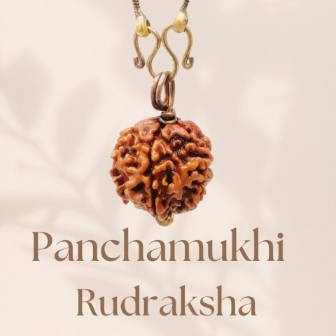 Długi łańcuszek - Rudraksha Panchamukhi Isha (five faced) z miedzianym łańcuszkiem