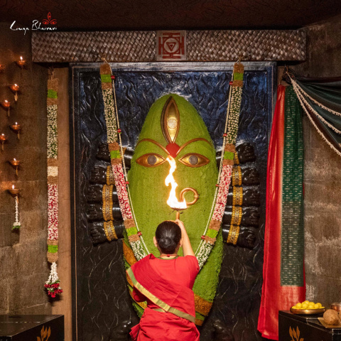 Midnight Green and Cream Konsekrowane Sari Bawełna Devi DUŻE Konsekrowane Sari Bawełna Devi DUŻE